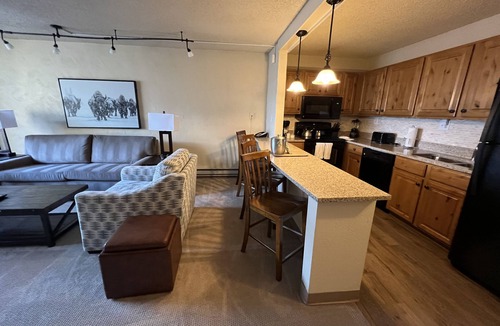 Vail Condo | The Wren:1 bed/2 bath. Walk to lifts! Great place, Great price, Great Location!