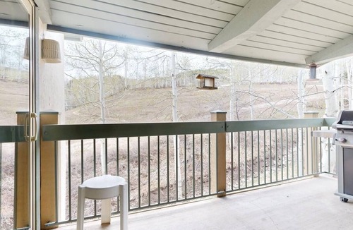 Snowmass Village Condo | Top of the Village - Leaf 503