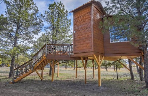 Larkspur Cabin | Treehouse Mountain Views Unique Ranch Experience