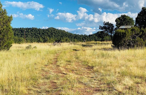 Walsenburg RV Rental | Under The Stars Colorado campground. 420. Bring Your TENTS! Lots of trees.