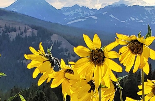 Como Apartment | Unique Historic Mountain Cabin In Beautiful Como