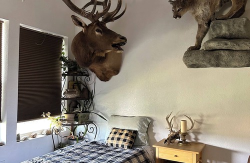 Red Wing Cabin | Vacation Hideaway Cabin in the mountains!