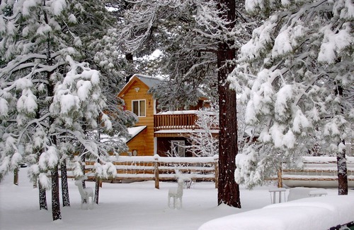Bayfield Cabin | Vallecito Lake Cabin -