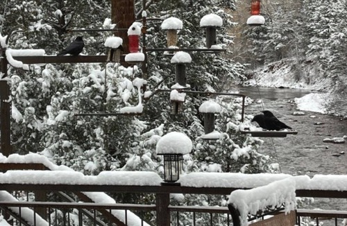 Placerville House | Villa San Miguel, Located on San Miguel River, Ski Bus Route, Telluride 12 Miles