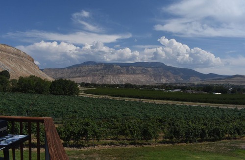 Palisade House | Vineyard Home close to town and Fruit and Wine Byway