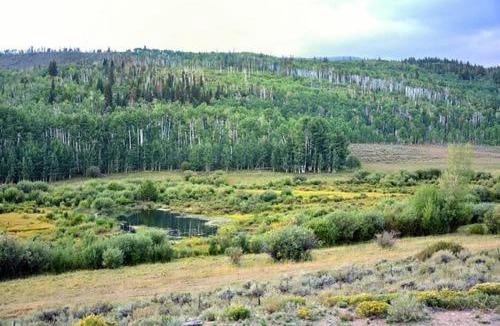 Walden House | Whistle Pig Retreat at 22 West Cabins and Recreation