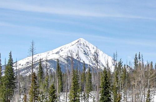 Wildernest Apartment | Wildernest Gore Trail Condo
