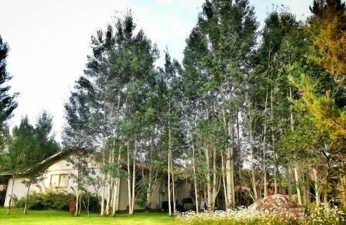 Carbondale House | Winter special! Cozy 4 Bedroom Mountain Retreat