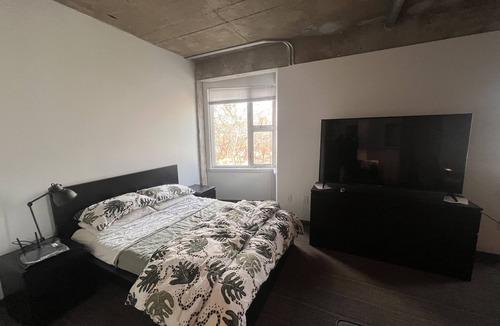 City Park West Apartment | Wonderful Studio in City Park West, pet friendly building.