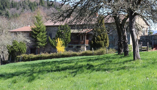 Apartment/flat - Ambert in Ambert