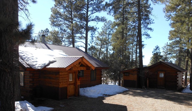 La Plata Mountains Cabins - 2 Cozy log cabins in SW Colorado, near Mesa Verde NP