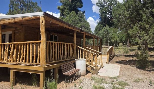 Pawnee Pines Tiny Cabin - Forest Deck & Fast WiFi