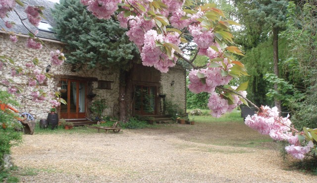 Spacious converted Barn - fully equiped - family friendly Gite sleeps 6 (Rose) in Chigné