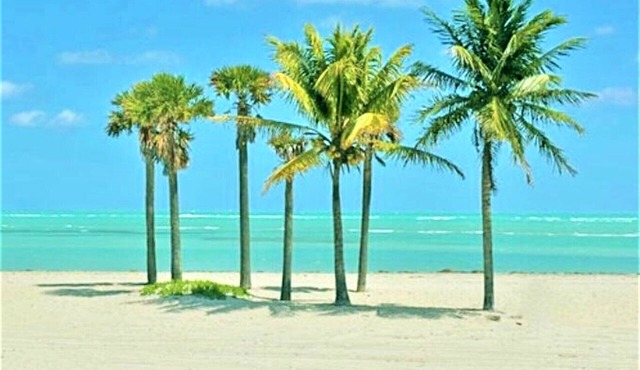 Spacious One Bedroom with Pool minutes to the Beach -