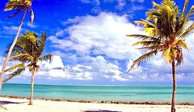 Spacious Two Bedroom with Pool close to the Beach -