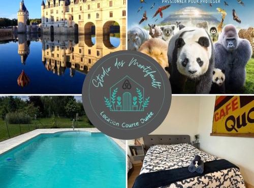 Studio proche Beauval et Châteaux de la Loire in Francueil