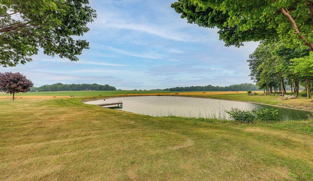 Unplug & Unwind! Romulus Family Gem w/Swim Pond