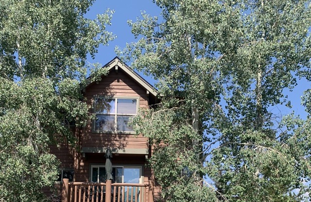 Beautiful 3 Bedroom Townhome In Downtown Winter Park With Private Hot Tub!
