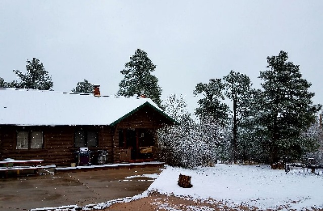 Black Forest Lodge