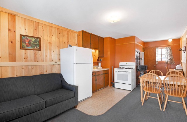 Cozy dog-friendly lodge with kitchen, entertainment, ski access & shared grill