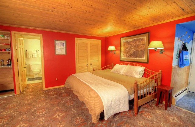 Cozy Ski-in Mountainside Studio w/Free wifi and Hot Tub Great Location