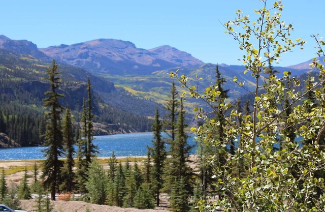 Nellie Gray #23 - OPEN YEAR ROUND -Great Condo With View of Lake San Cristobal