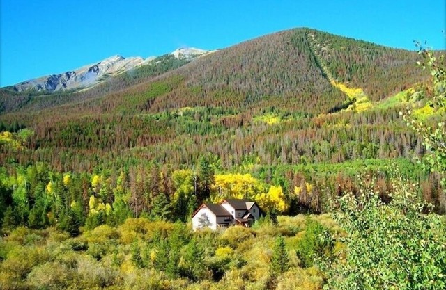 NEWLY REMODELED KITCHEN AND BATHROOMS! Great mountain views. End unit.