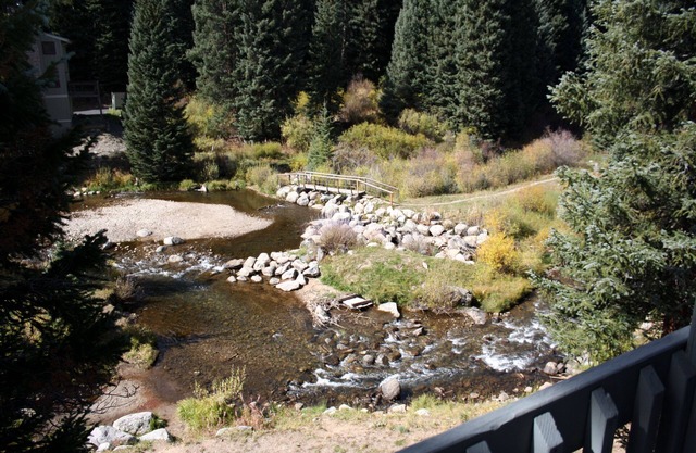 Pinecreek #I - 3 BR: Close to Town- Shuttle to Slopes- Pool & Hot Tub Access