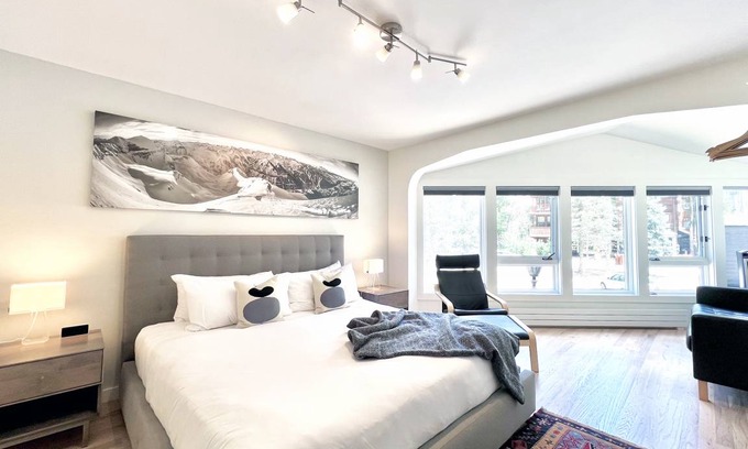 Telluride Condo | 51 m² Condo ∙ 1 bedroom ∙ 4 guests