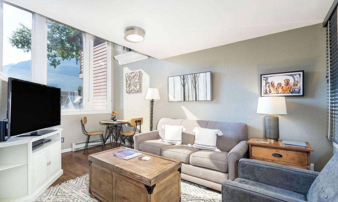 Telluride Condo | 58 m² Condo ∙ 1 bedroom ∙ 4 guests