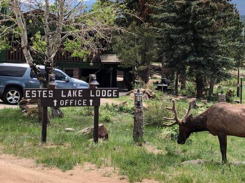 Estes Park Hotel | 93 m² Hotel ∙ 3 bedrooms ∙ 8 guests