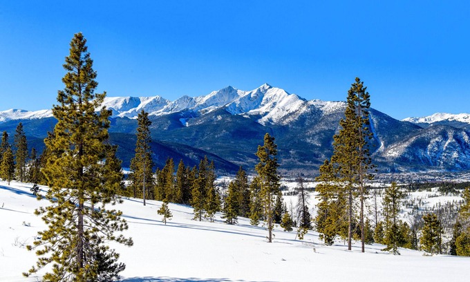 South Fork Cabin | Cabin with WiFi, home comforts, & shared grill - dogs welcome