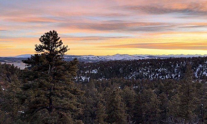 Florissant House | Comanche Pines Trio, A Multi-Unit Mountain Retreat with WIFI and A/C