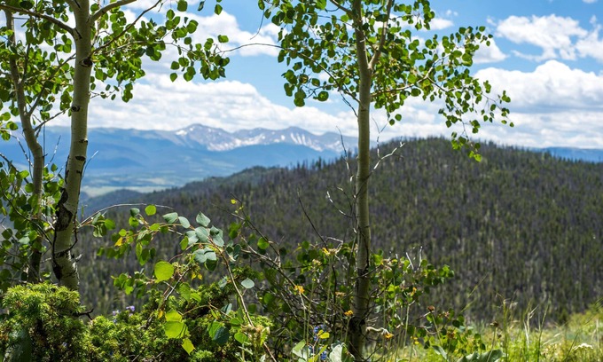 South Fork Cabin | Cozy lodge cabin with access to year-round outdoor fun - dogs OK