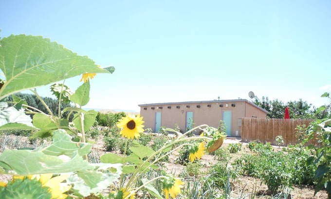 Palisade Cottage | Orchard Guesthouse Cottage