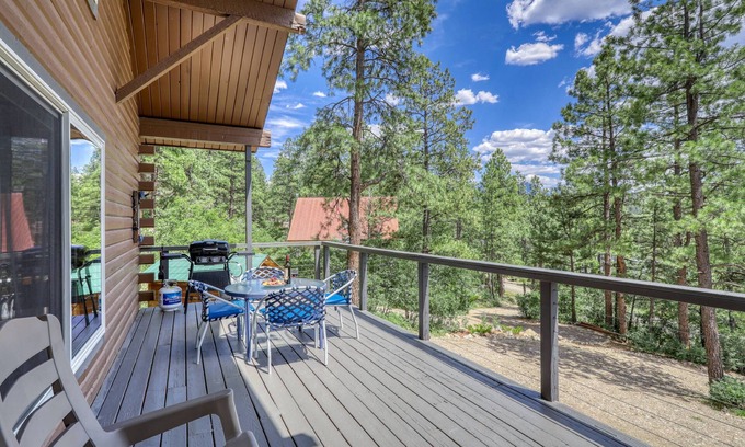 San Juan River Village House | See Fall's Changing Colors! San Juan Cabin: Cozy Mountain Getaway, Fire Pit, Close to Wolf Creek!