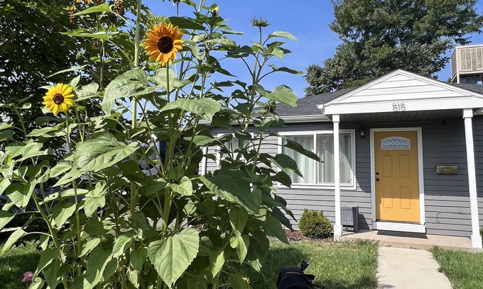 Athmar Park House | West Wash Park - 2 Bedroom w/large fenced backyard