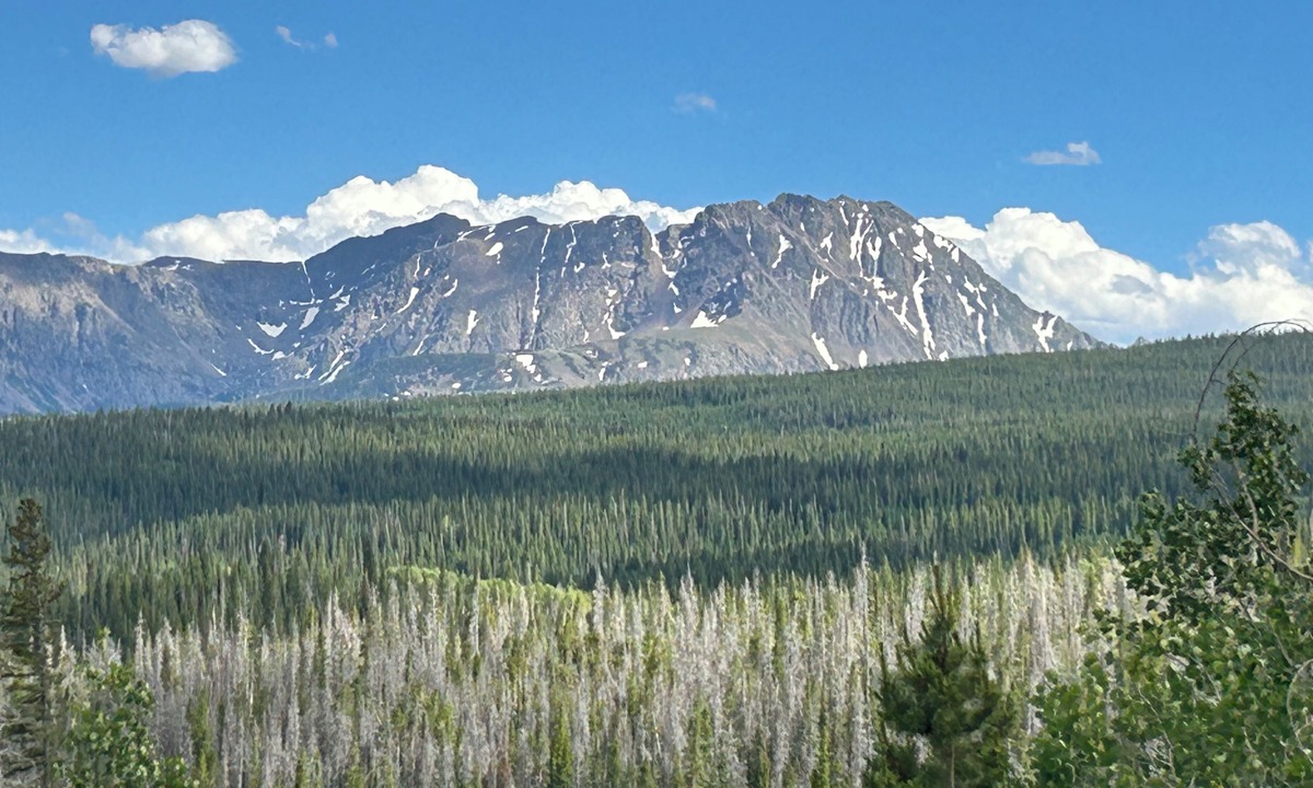 Grand County House | Perfect Mountain Getaway Home!