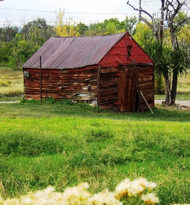 Photo of Buildings in Golden