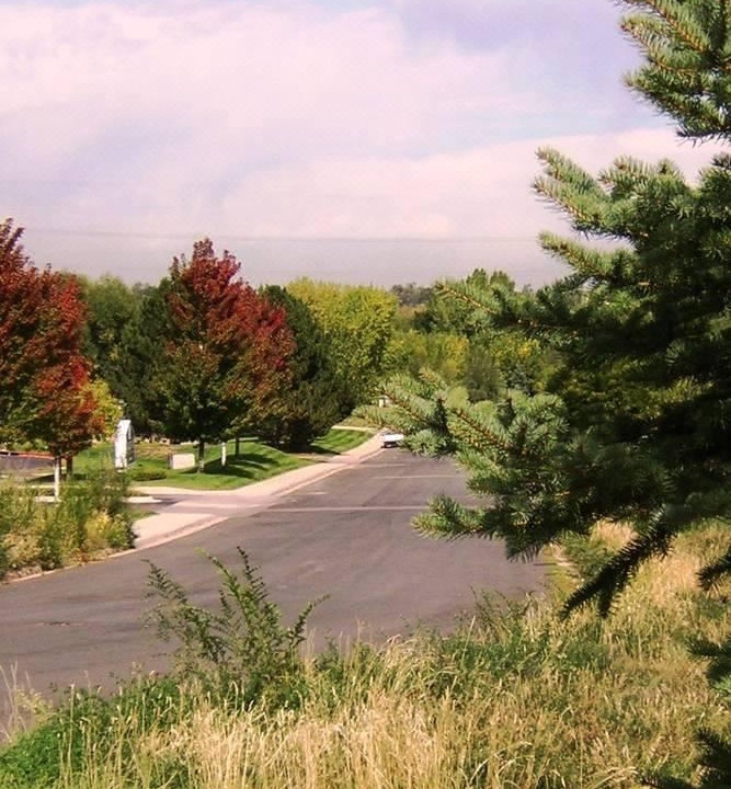 Photo of Outdoor in Golden
