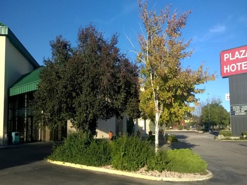Photo of Buildings in Fort Collins
