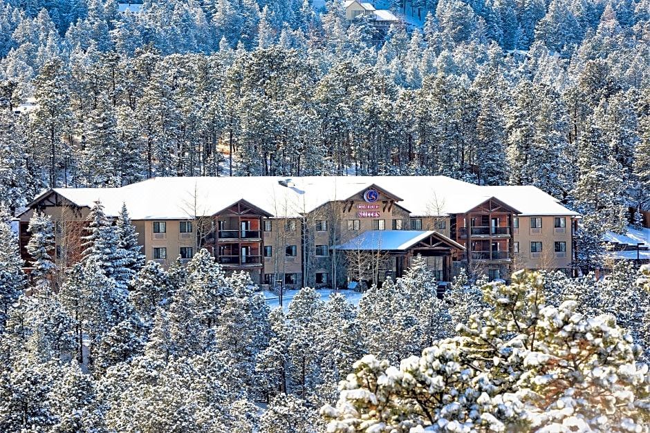 Photo of Others in North Central Evergreen