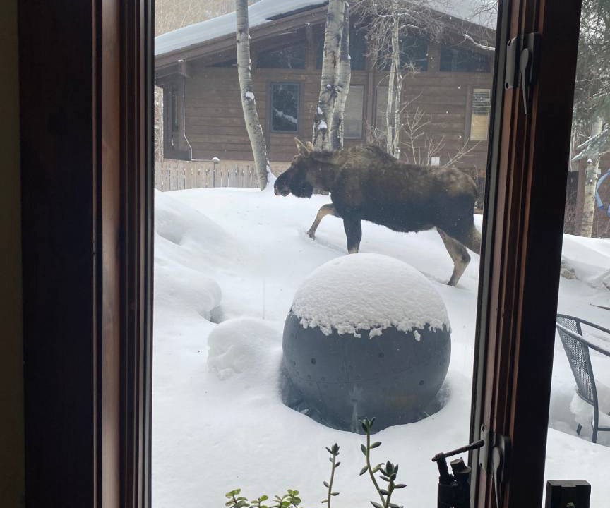 Photo of Others in Eagle-Vail