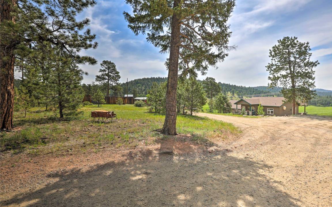 Photo of Others in Conifer
