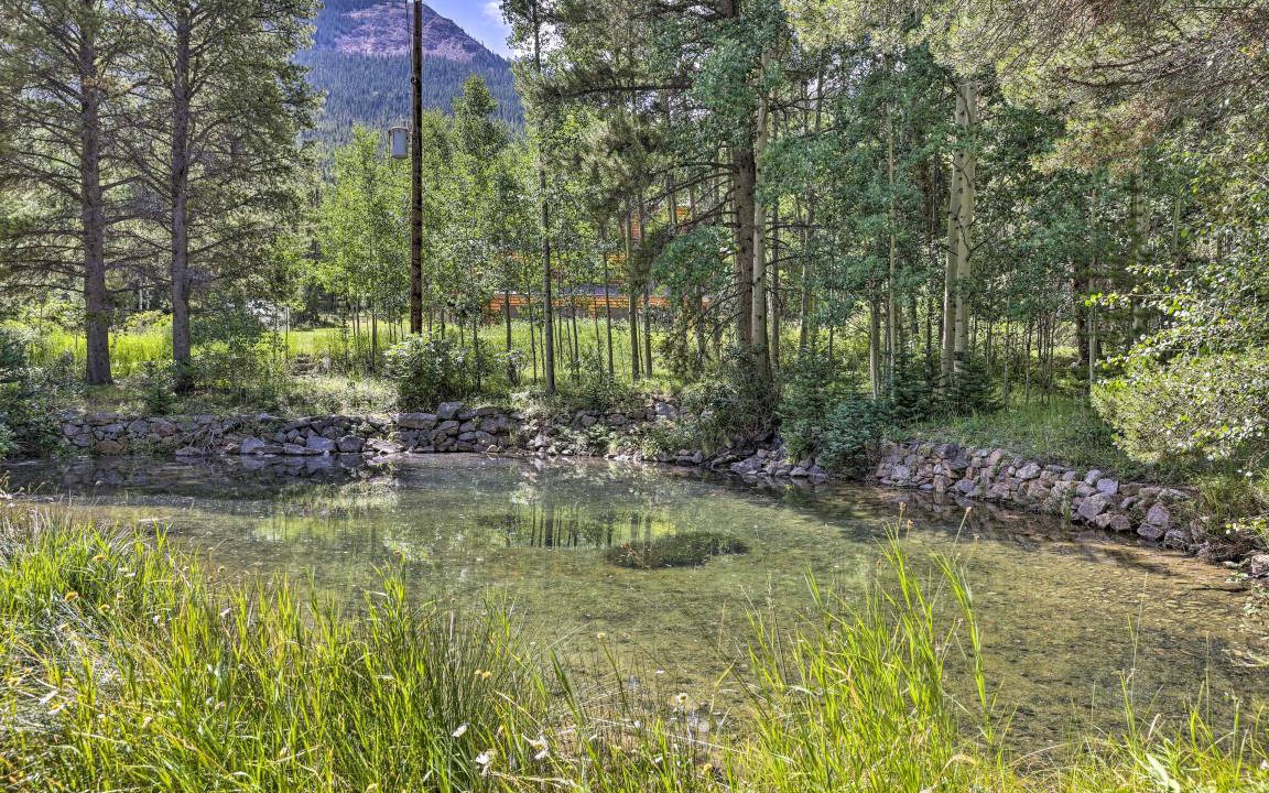 Photo of Others in Silver Plume
