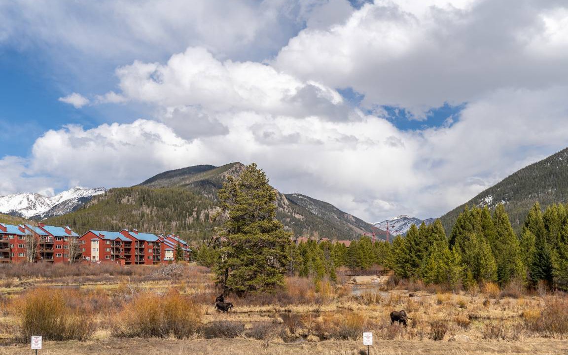 Photo of Others in Mountain House