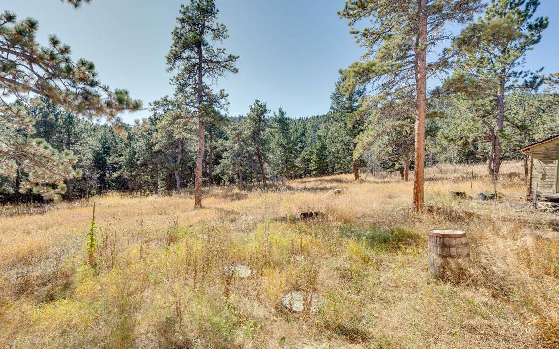 Photo of Others in Coal Creek Canyon
