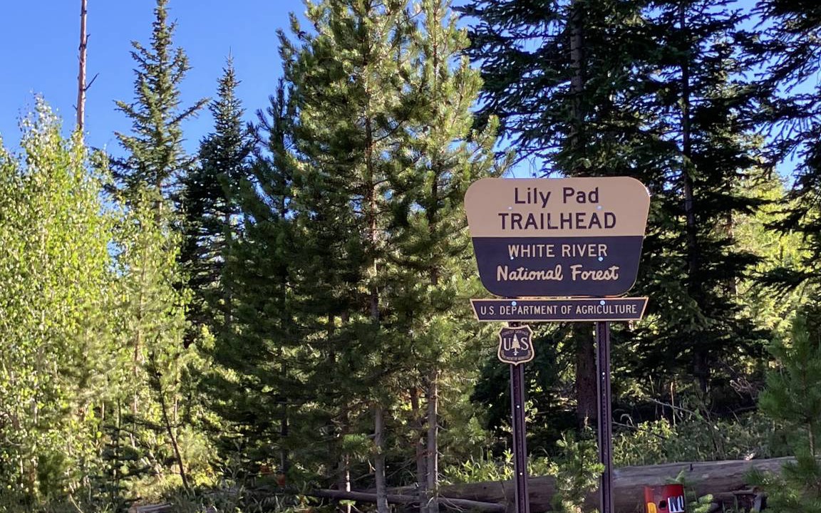 Photo of Outdoor in Wildernest
