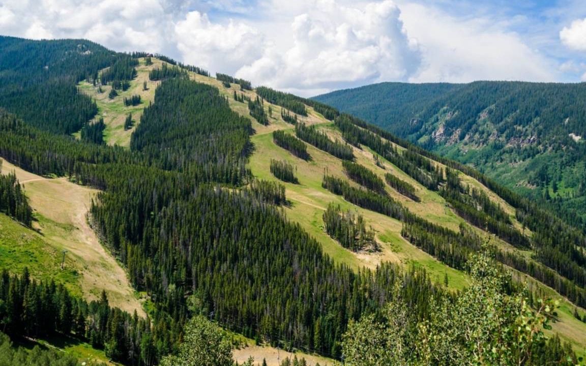 Photo of Others in Eagle-Vail
