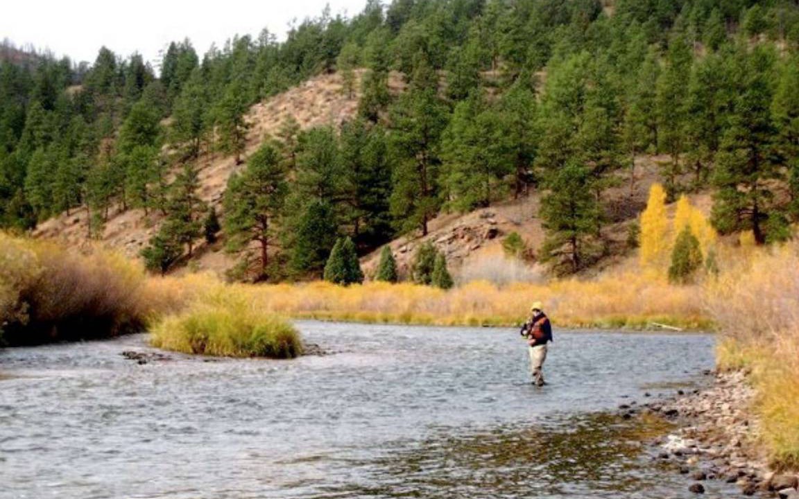 Photo of Others in Westcreek